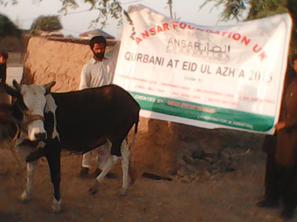 qurbani