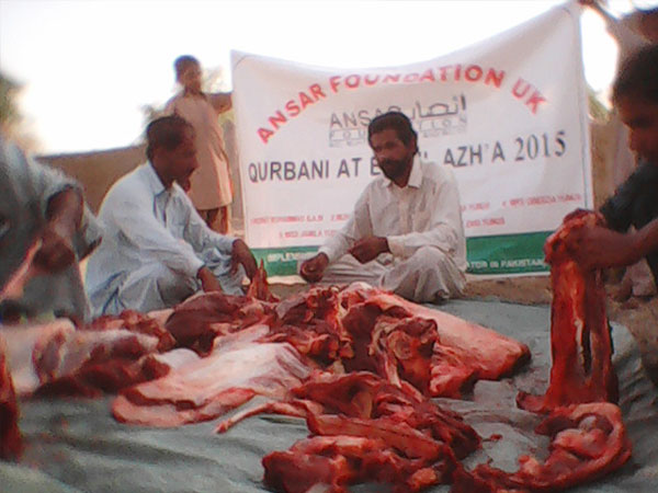 qurbani