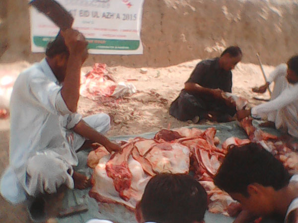 qurbani