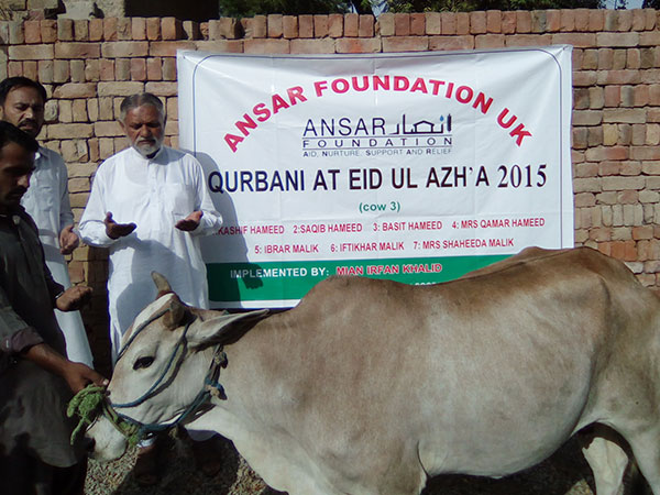 qurbani