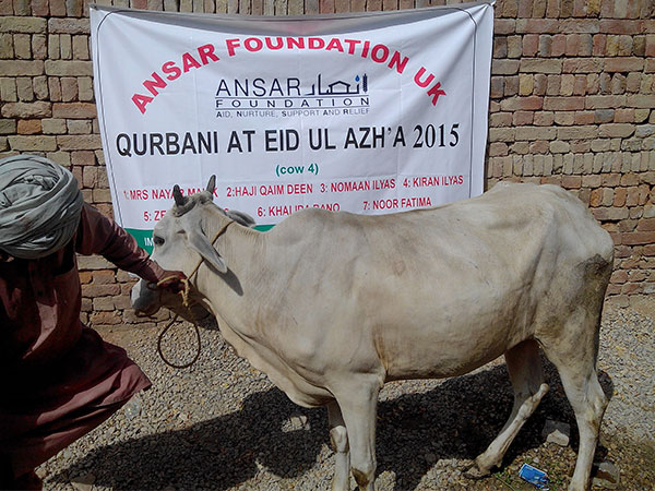 qurbani