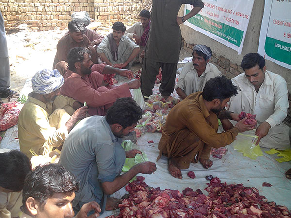 qurbani
