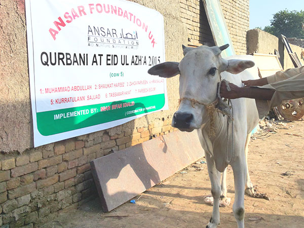 qurbani