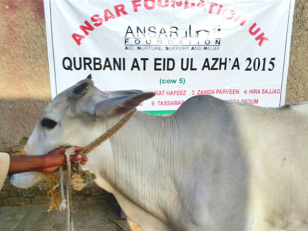 qurbani