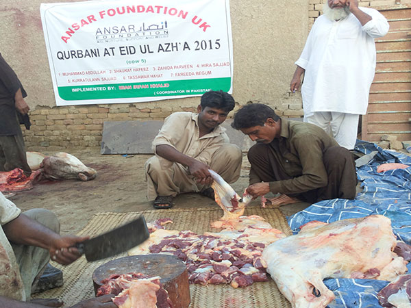 qurbani