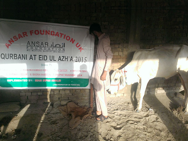 qurbani