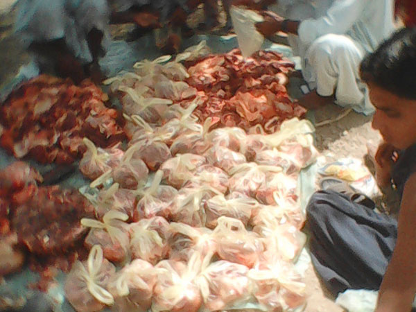 qurbani