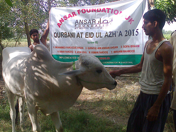 qurbani