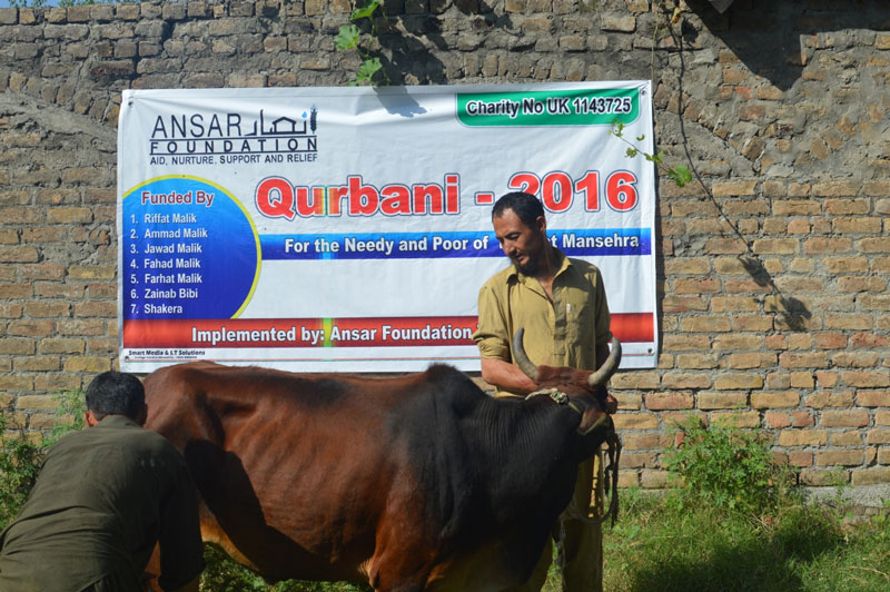 qurbani