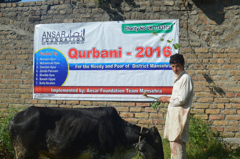 qurbani