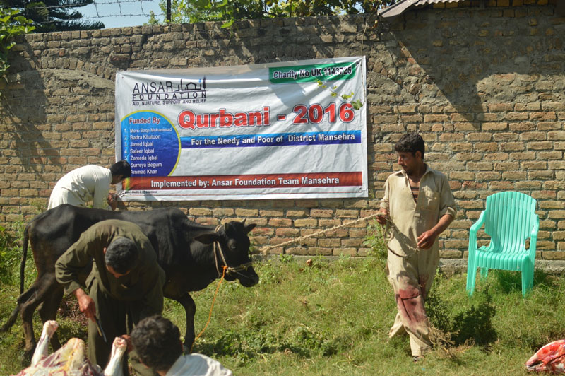 qurbani