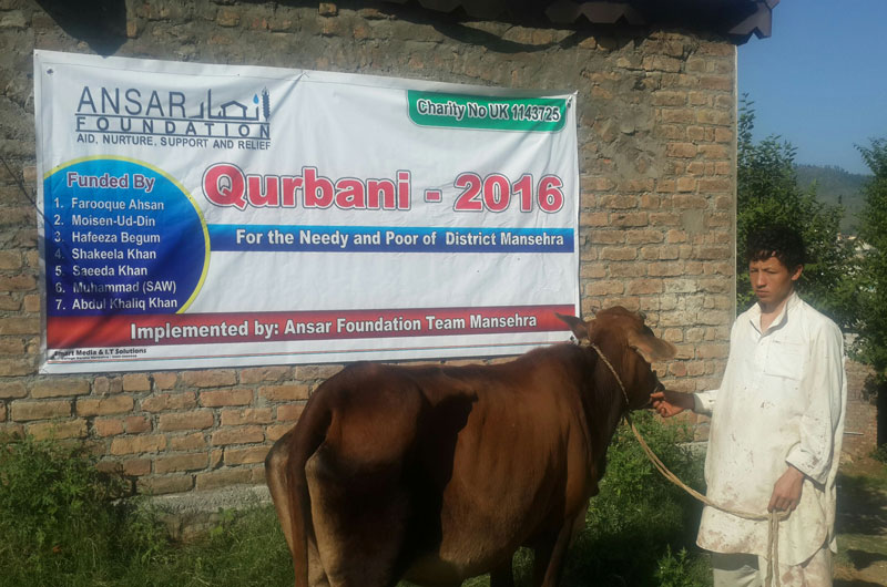 qurbani
