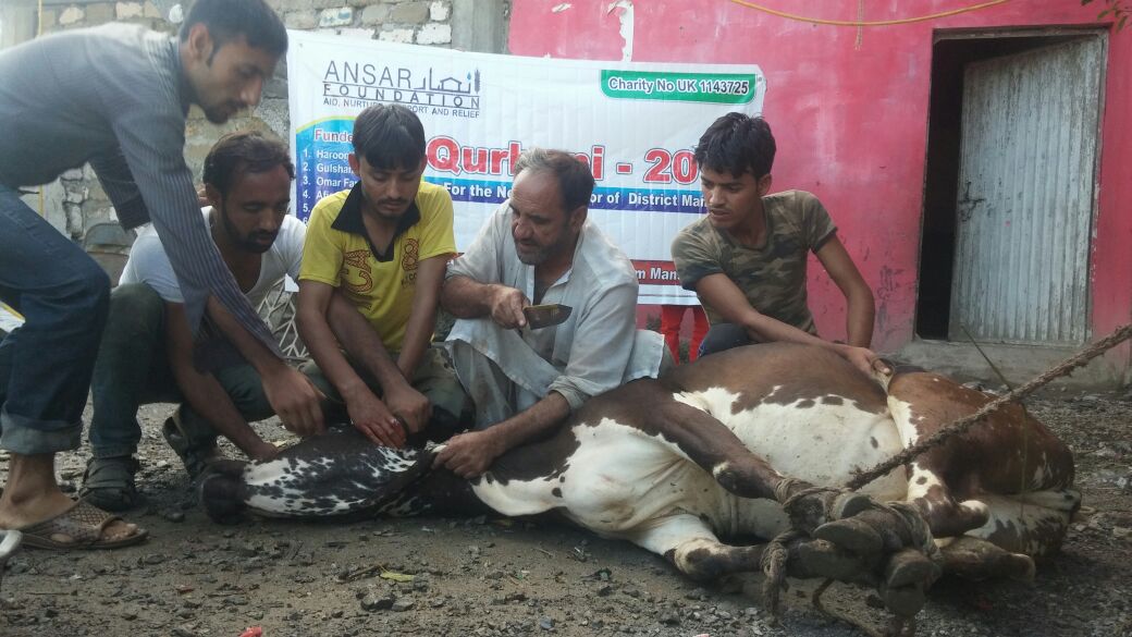 qurbani