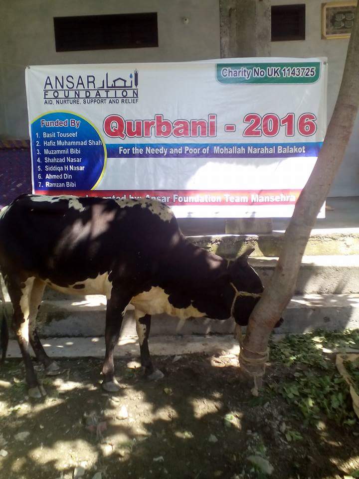 qurbani