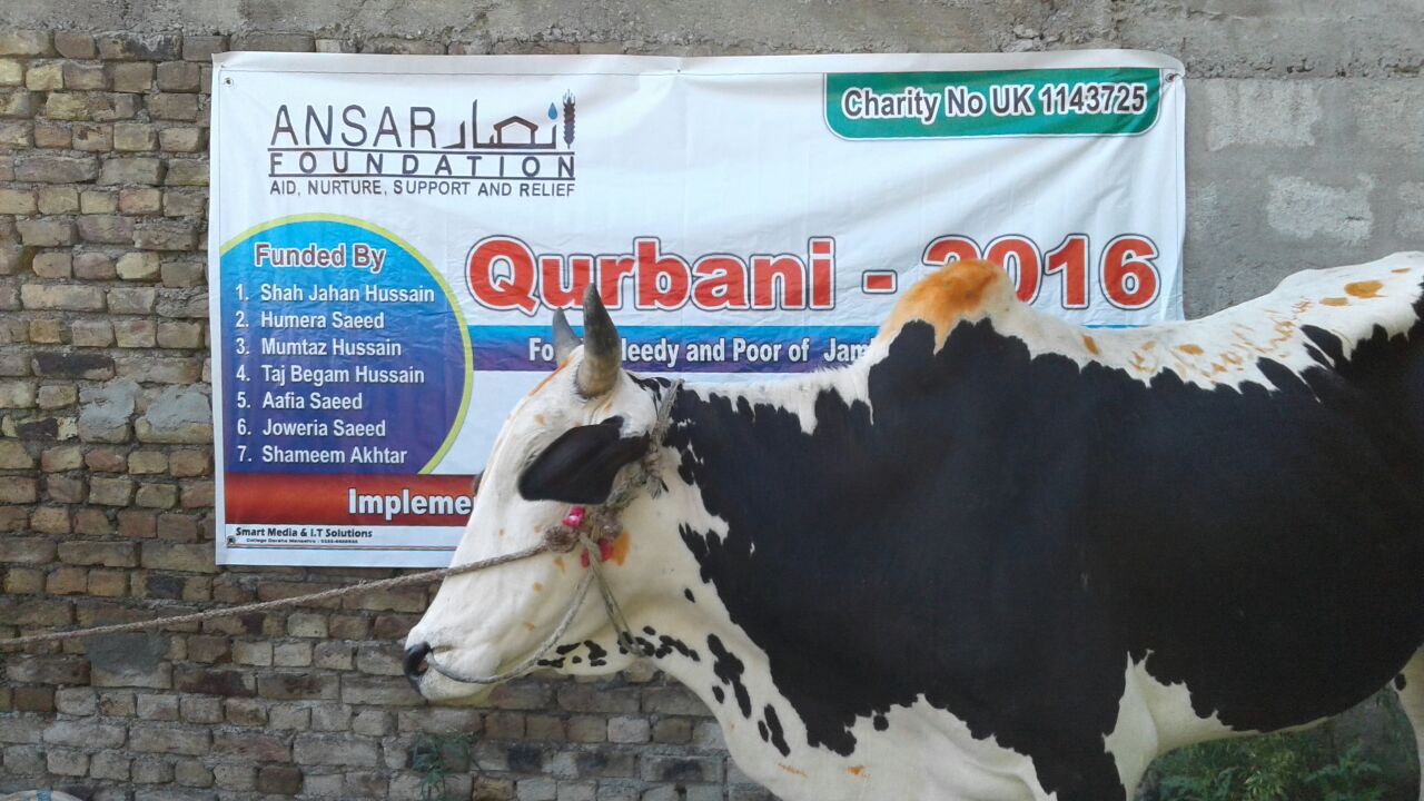 qurbani