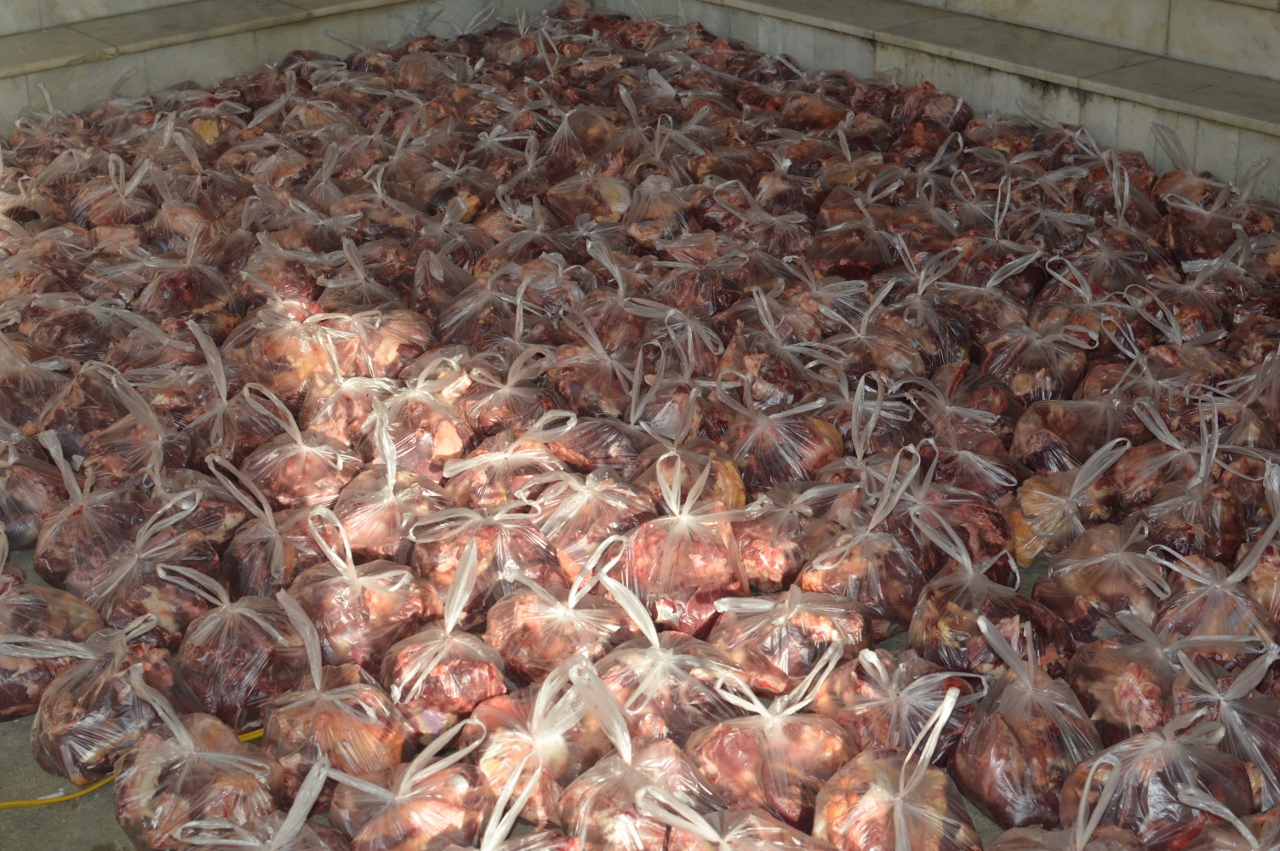 qurbani