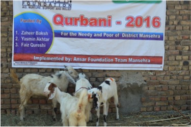 qurbani
