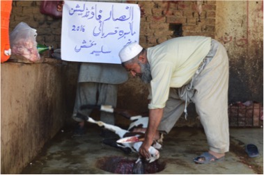 qurbani