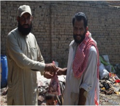 qurbani