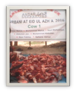 qurbani