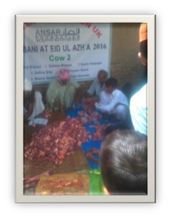 qurbani