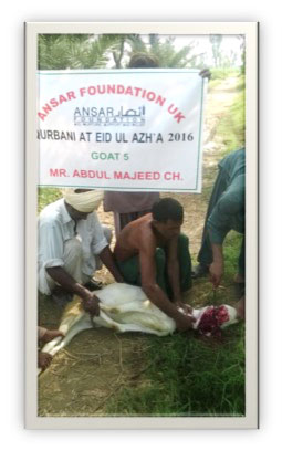 qurbani