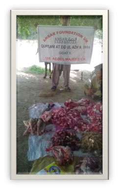 qurbani