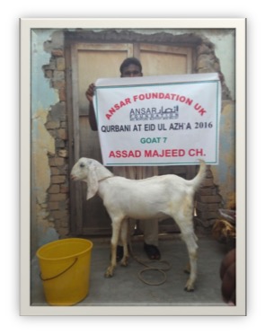 qurbani