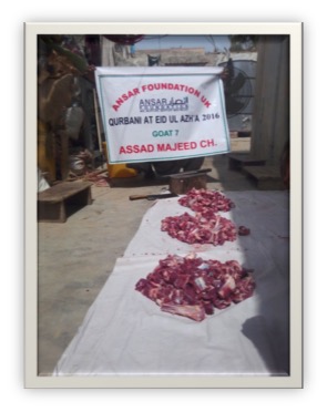 qurbani