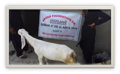 qurbani