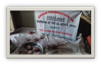 qurbani