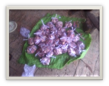 qurbani